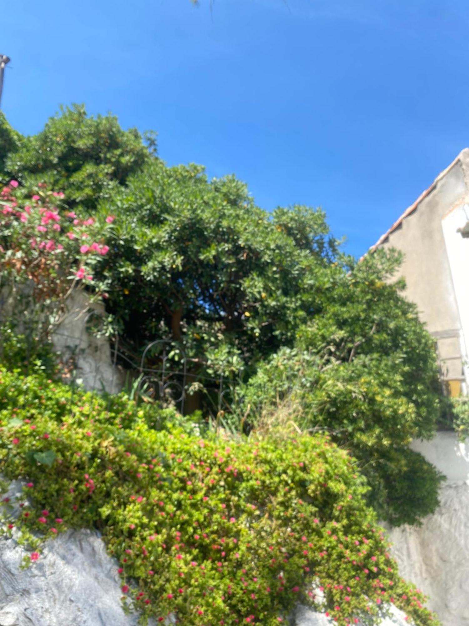 Au Coeur Du Parc National Du Massif Des Calanques, La Flibuste Des Goudes, Maison 2 Chambres, Climatisee, Jardins, Solarium, Proche Plage, Large Vue Mer Marseille Exteriör bild